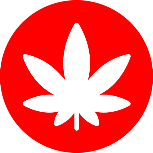 noSmokingIcon