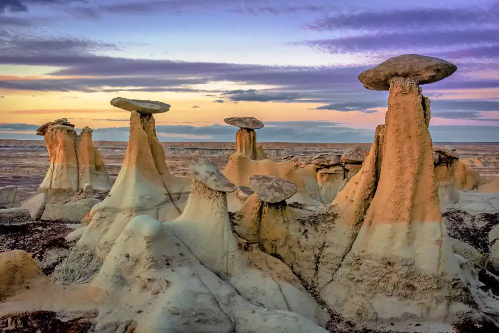 Rehab centers in New Mexico
