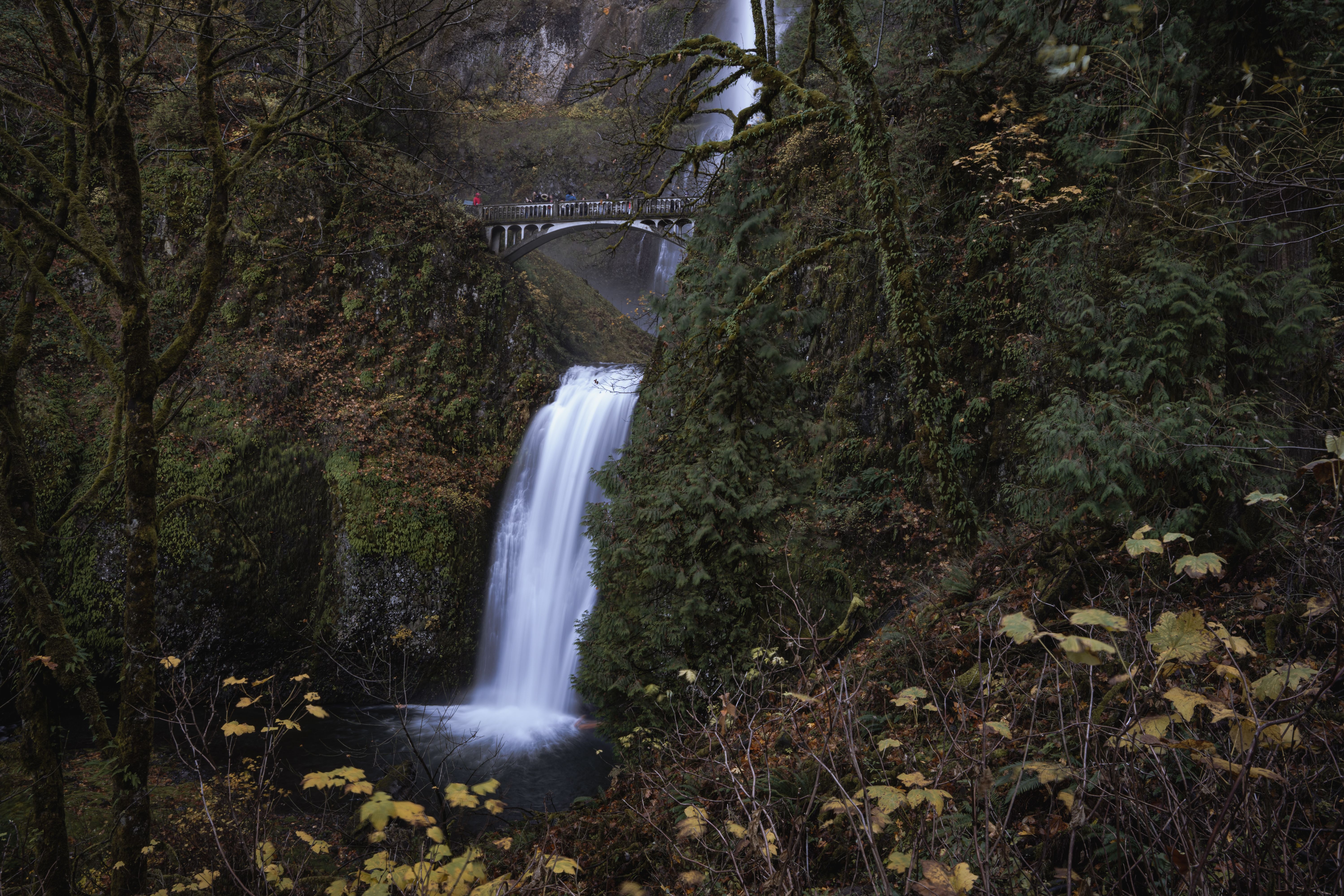 Rehab centers in Oregon